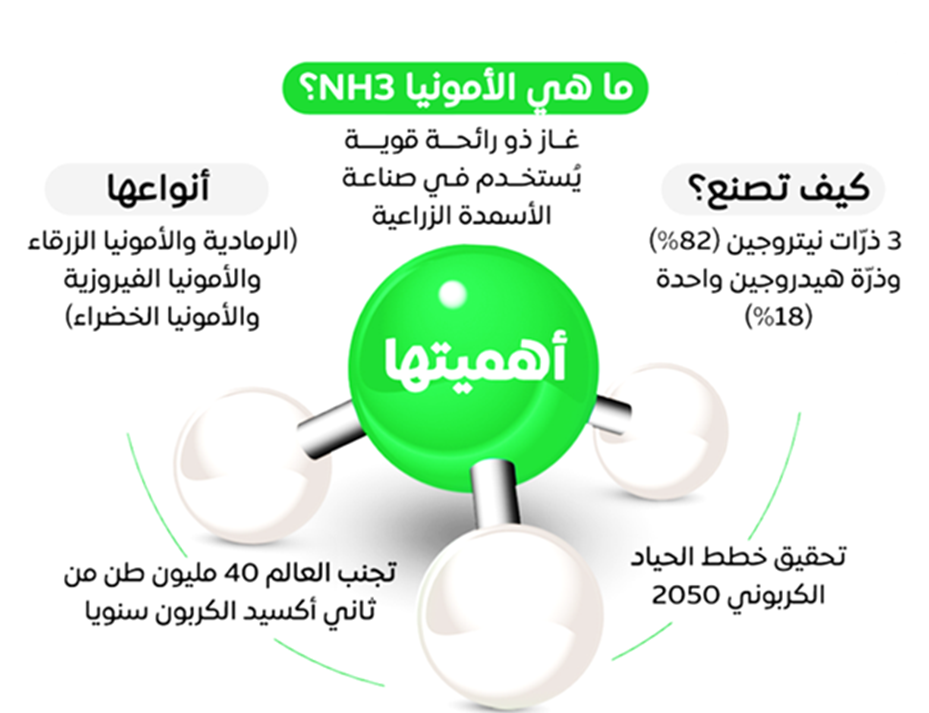 مصر توقع 4 اتفاقيات بمجال الأمونيا الخضراء مع مطورين أوروبيين 